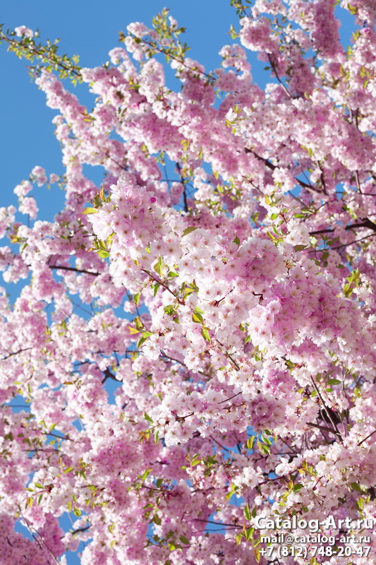 Blossom tree 109
